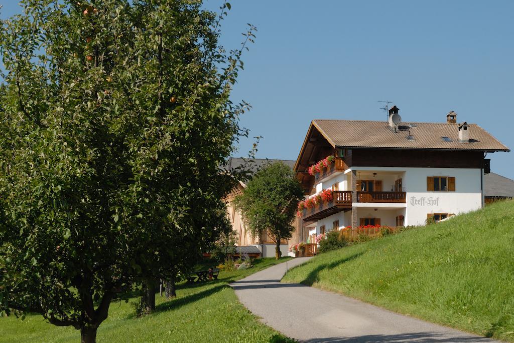 Treffhof Villa Siusi Phòng bức ảnh
