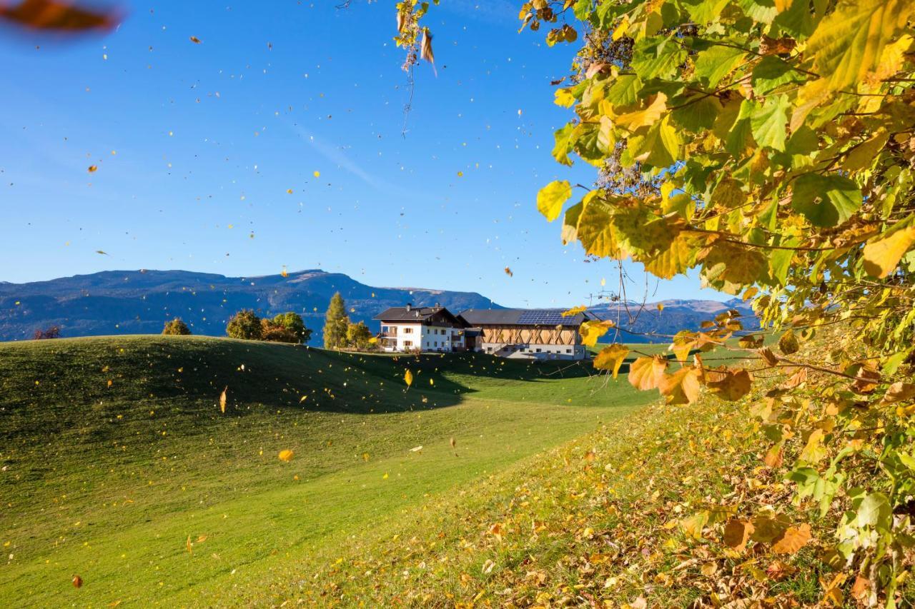 Treffhof Villa Siusi Ngoại thất bức ảnh